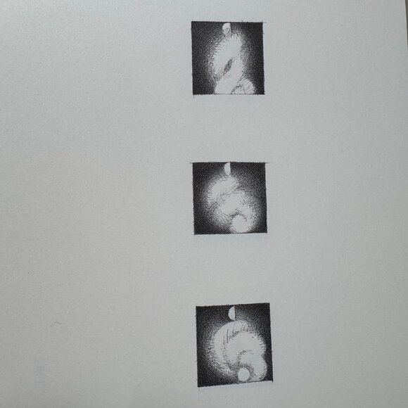 Christine Taylor Patten Micros Art Book 1999 Stinehour Press 1st Edition Signed - Picture 7 of 16